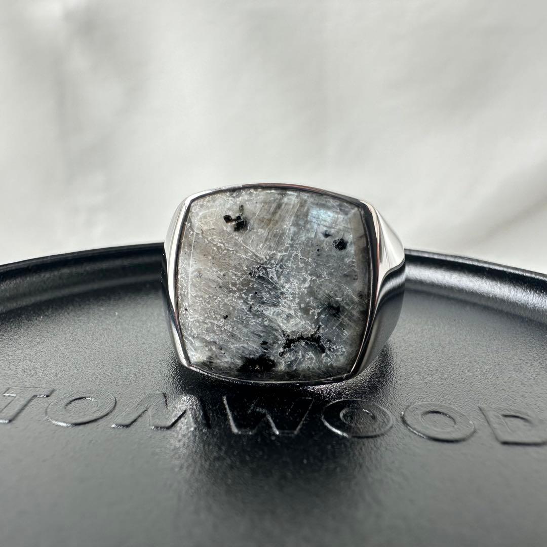 【極美品・定価8.45万円・g58(18)】 Cushion Larvikite