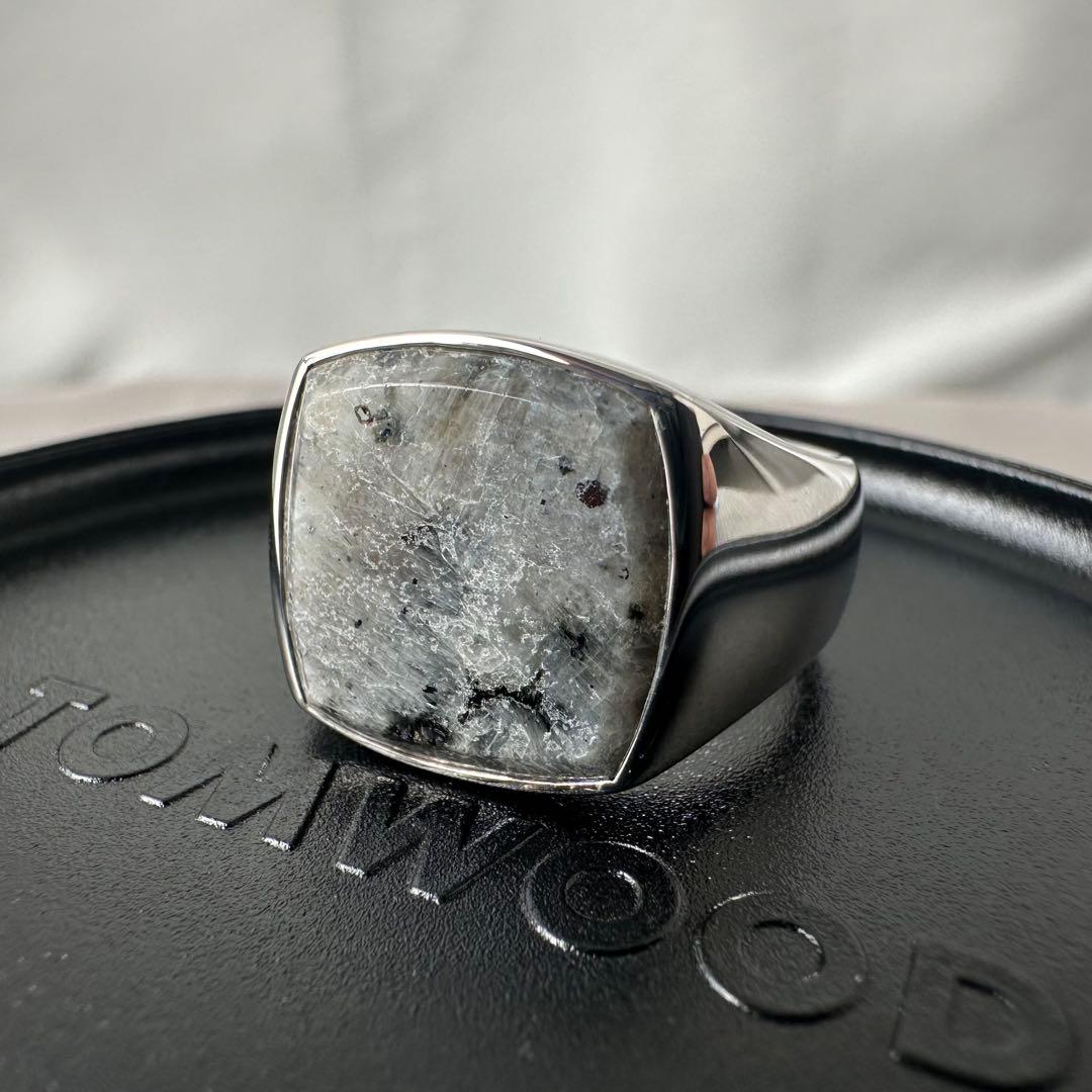 【極美品・定価8.45万円・g58(18)】 Cushion Larvikite