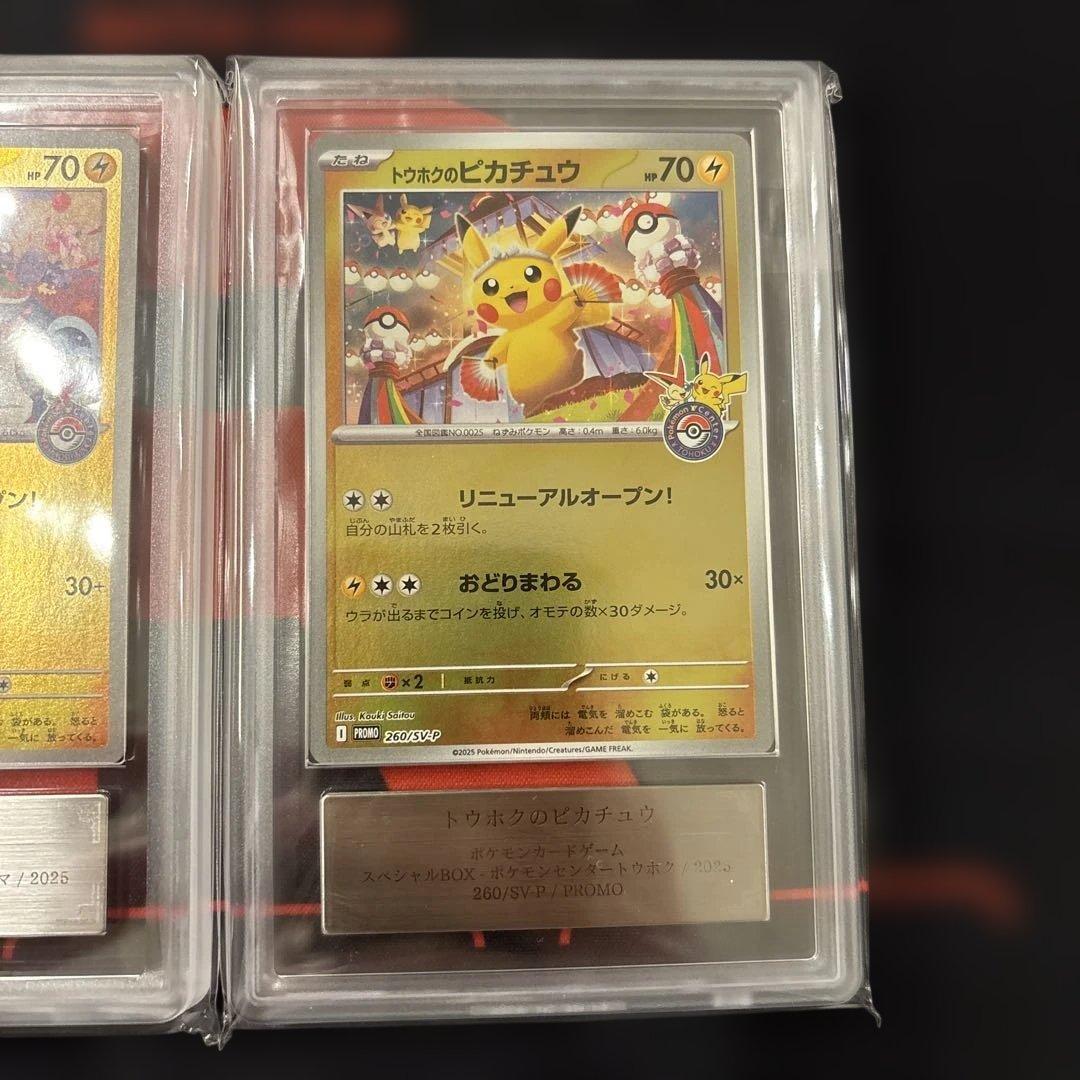 トウホクのピカチュウ ヒロシマのピカチュウ　ARS9