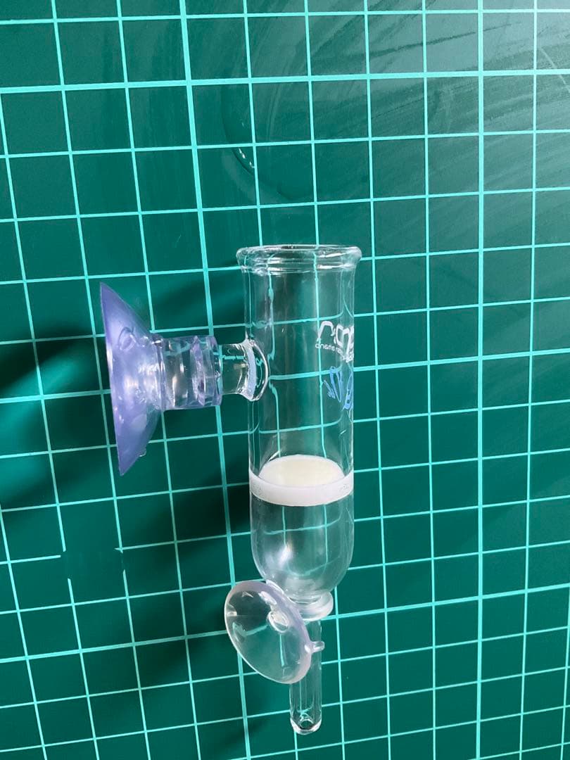 ADA パレングラス 20周年 限定品 ADA パレングラス・ラージ20Ø