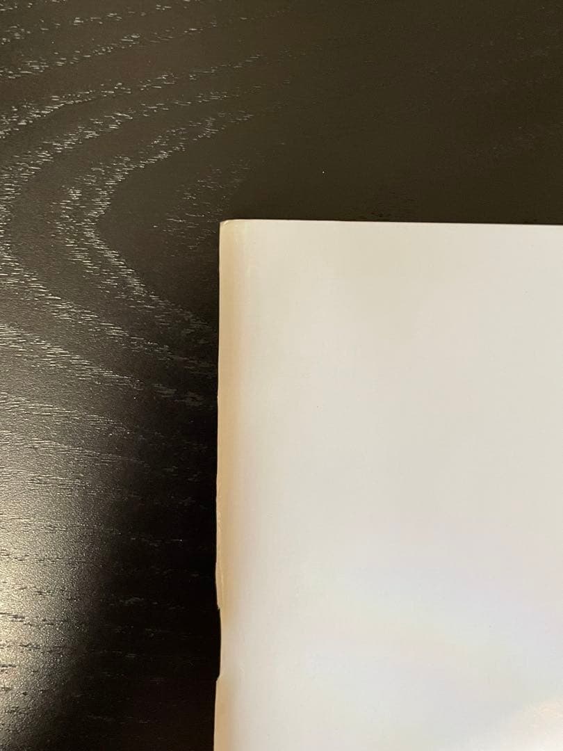 古代ミュウ ミュウツーの逆襲 パンフレット 2019年 ポケモン