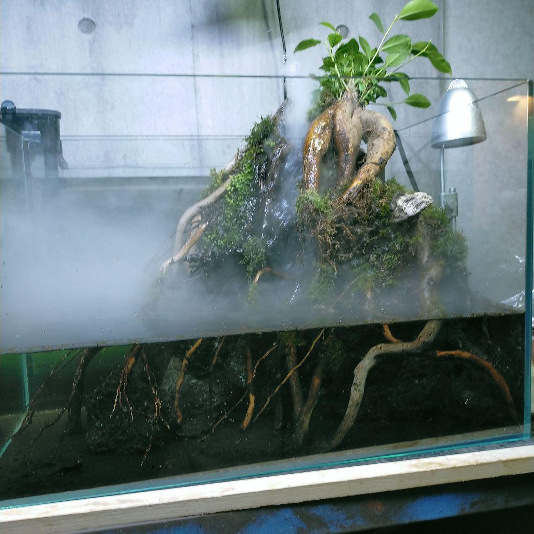 滝と霧の流れるアクアテラリウム　UJ