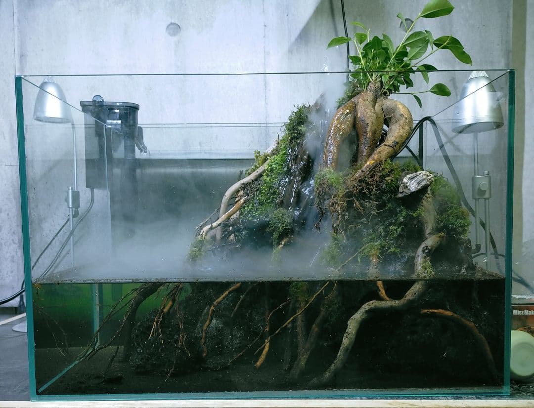 滝と霧の流れるアクアテラリウム　UJ