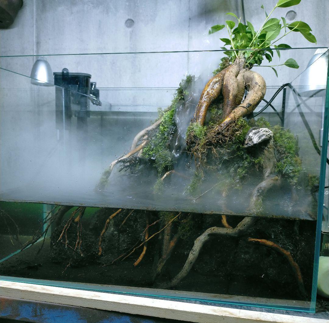 滝と霧の流れるアクアテラリウム　UJ