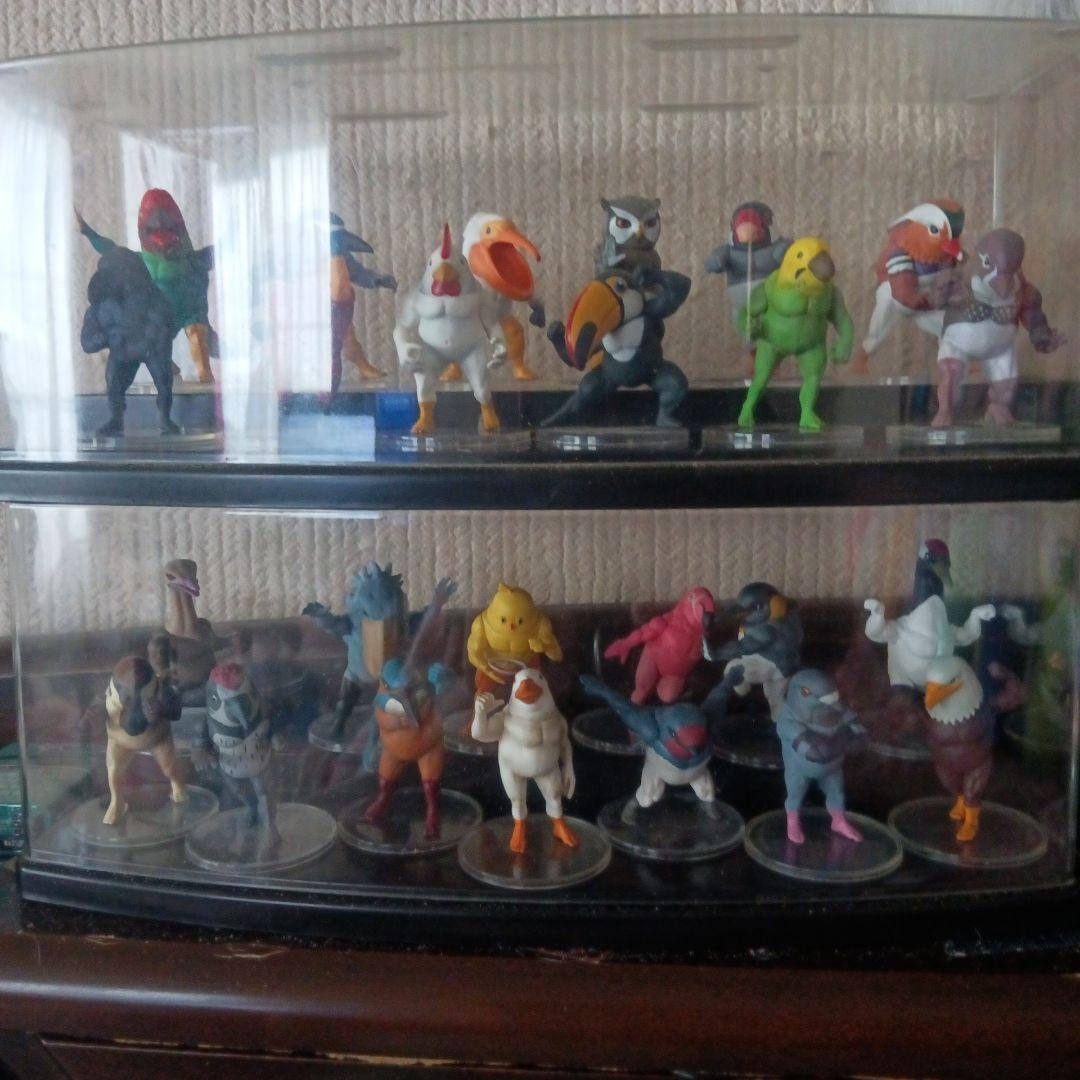 ガチムチ鳥　まとめ売り　バラ売りなし ガチムチ鳥6（全5種） | がちゃ処 online