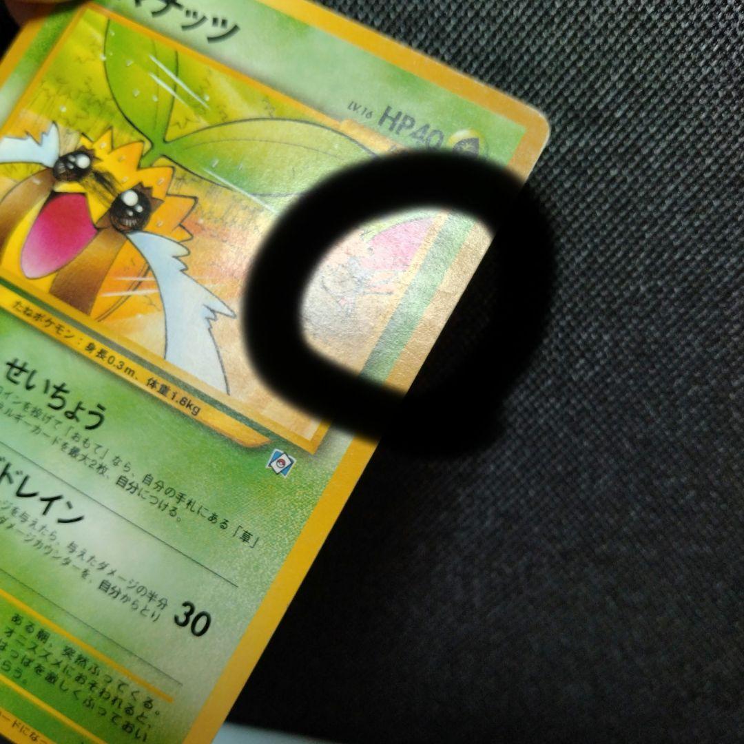 ポケモンカードになったワケ プロモ コンプリート