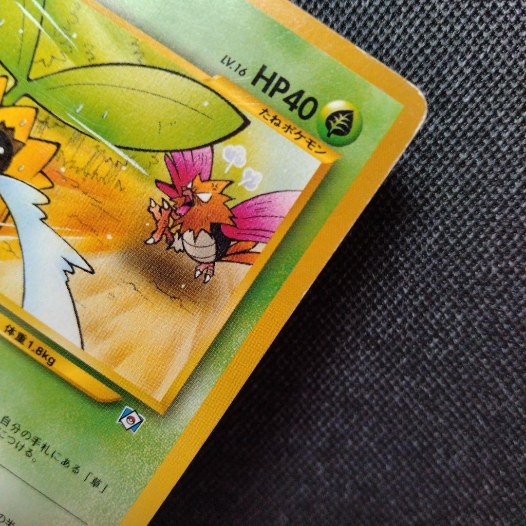 ポケモンカードになったワケ プロモ コンプリート