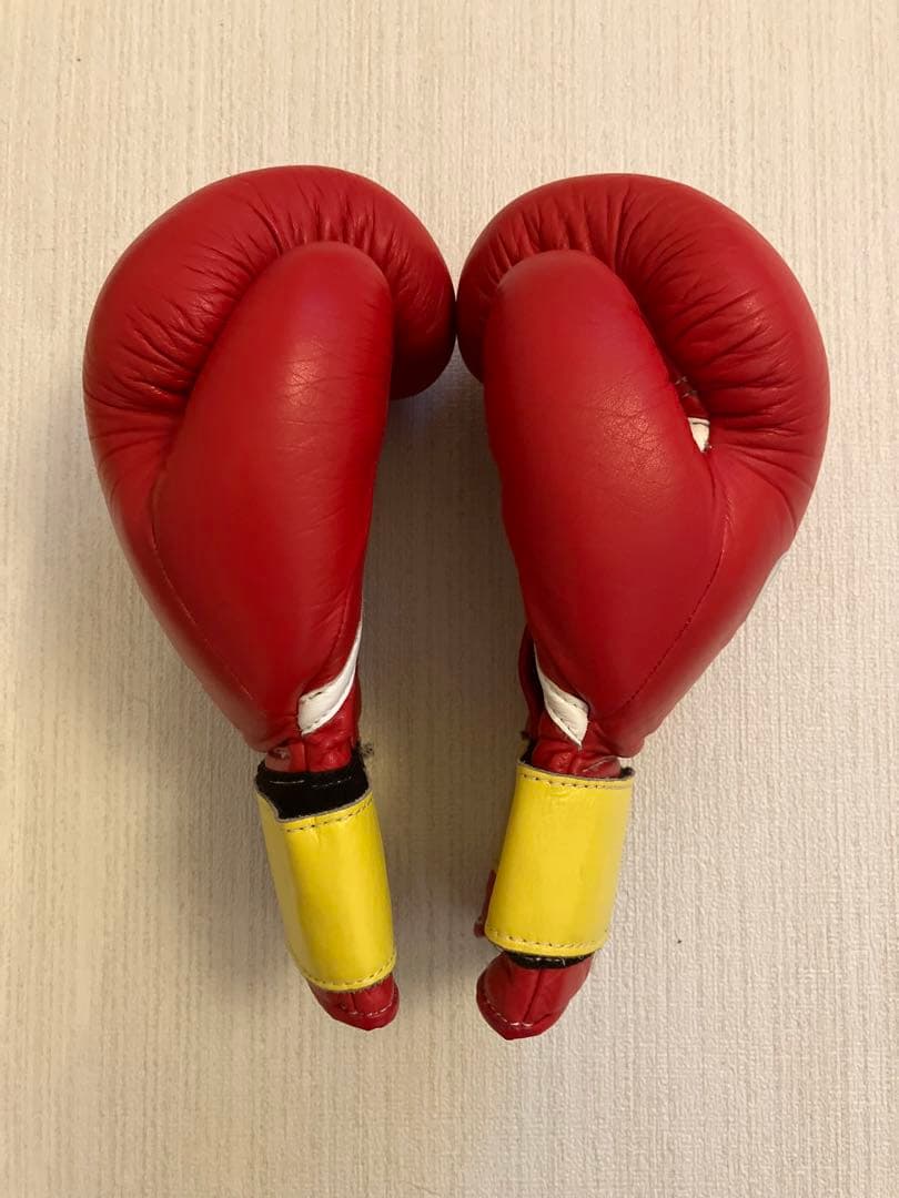 winning ウィニングボクシンググローブ レッド10オンス Winning