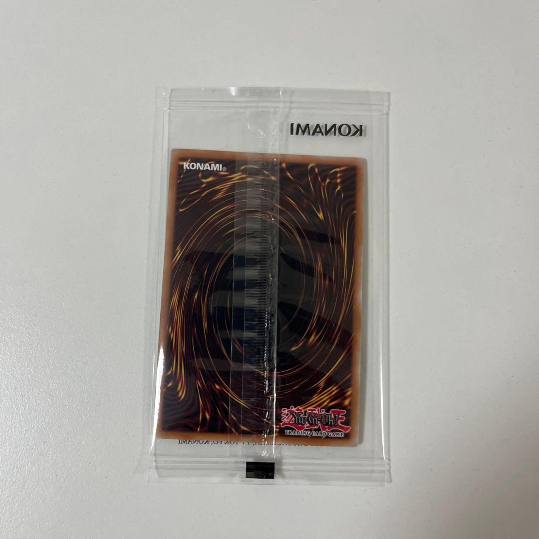 【限定】【非売品】NIKE AIR MAX 95 レッドアイズ・ブラックドラゴン