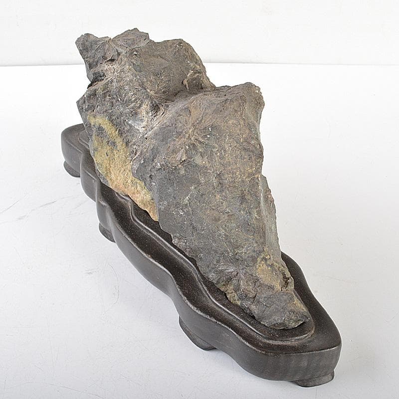 天然石 鑑賞石 菊花石 置物 重さ約1.7kg 唐木台付 V R6819