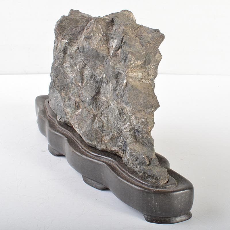 天然石 鑑賞石 菊花石 置物 重さ約1.7kg 唐木台付 V R6819