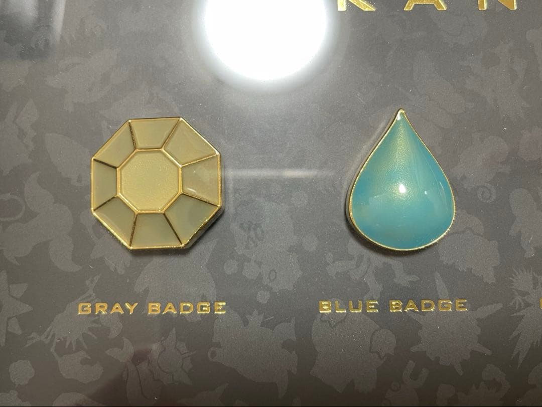 【受注生産】ジムバッジコレクション コンプリートセット 赤緑