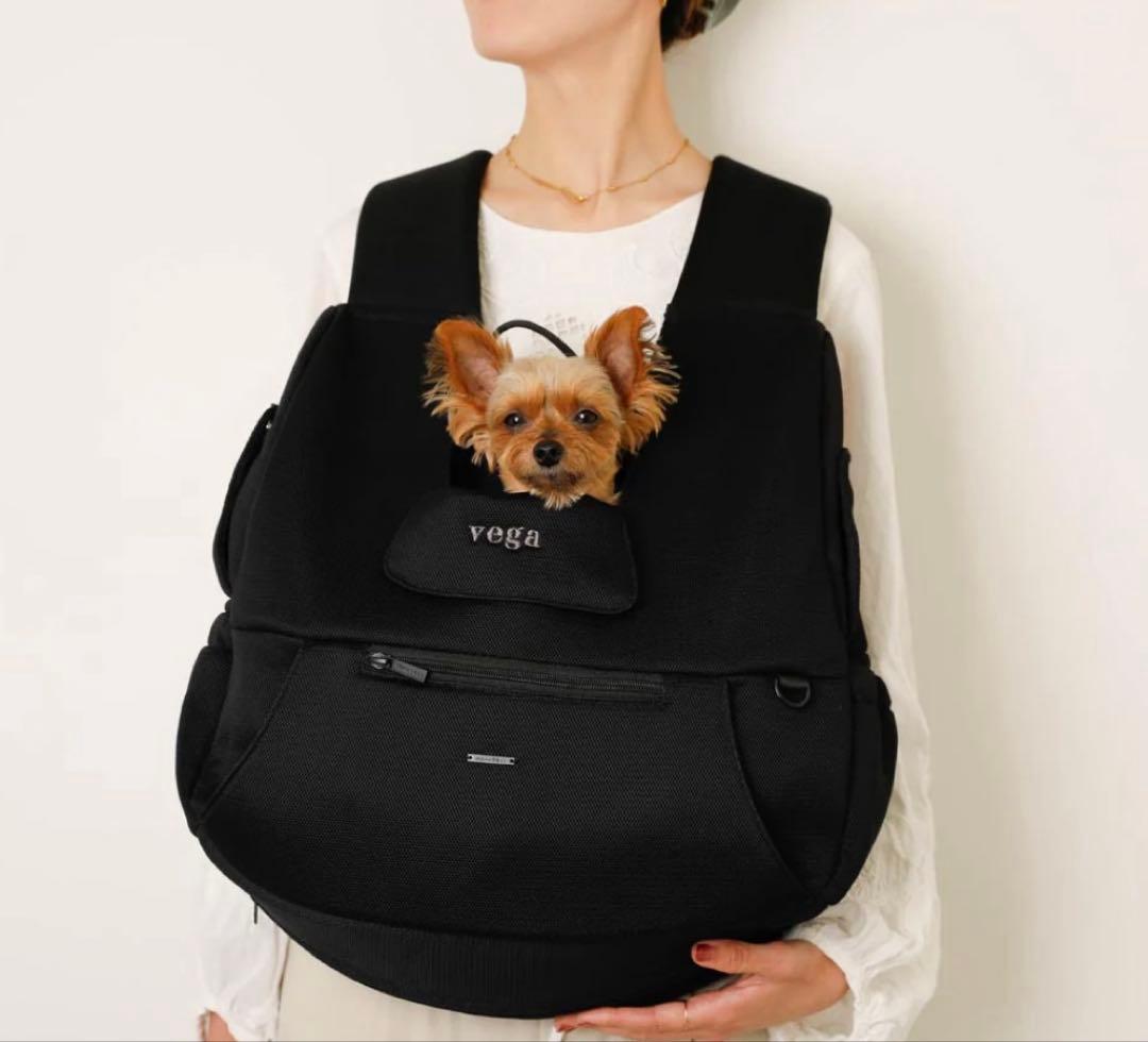 Amazon.co.jp: monchéri モンシェリ [軽量メッシュフロントリュック