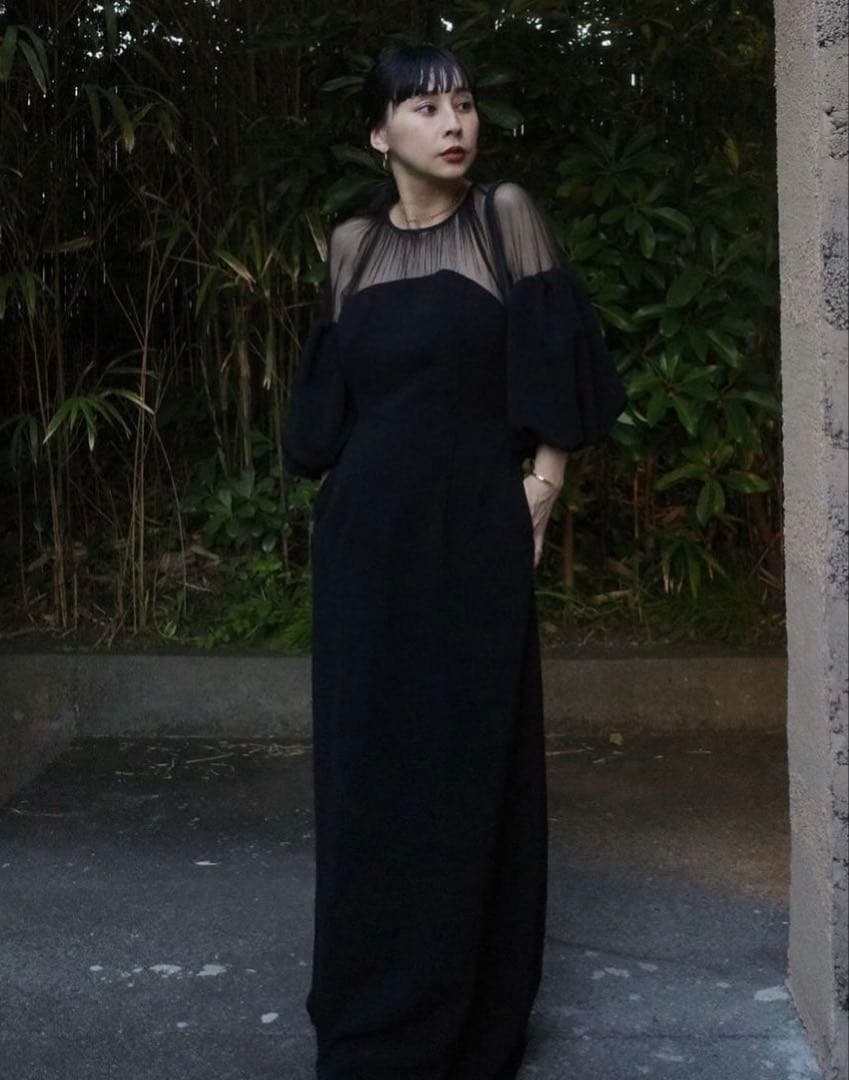 AMERISOUFFLE SLEEVE VELOUR DRESS