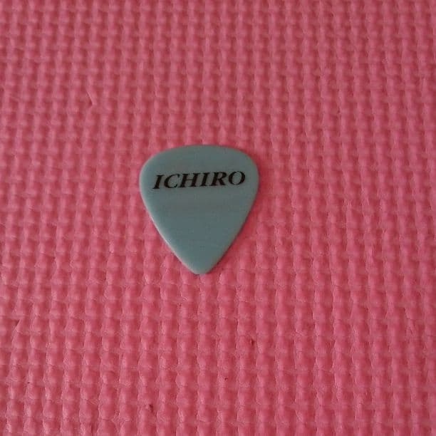 Every Little Thing 伊藤一郎さん ライブピック