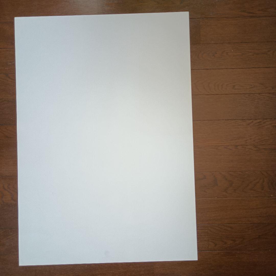 横尾忠則・岡之山美術館ワークショップ・コレクション展　ポスター　B2　即日発送