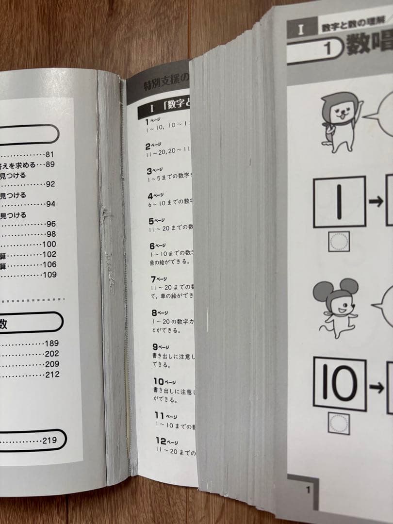 特別支援の算数教材 改訂版 国語教材 初級編 学研 Gakken 2冊セット
