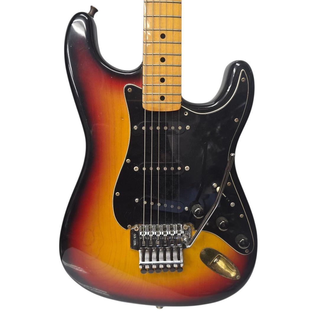 ジ*グ様 カスタマイズエレキギター FERNANDESプレート fenderピッ