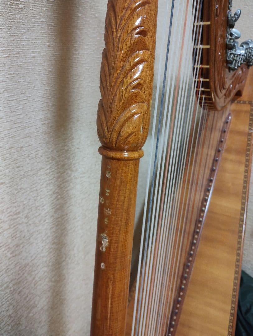 ハリーさま専用 アルパ ハープ 37弦 本体 ケース 弦