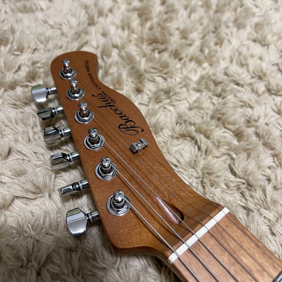 Bacchus BTE-2-RSM/M SFG テレキャスタイプ P90