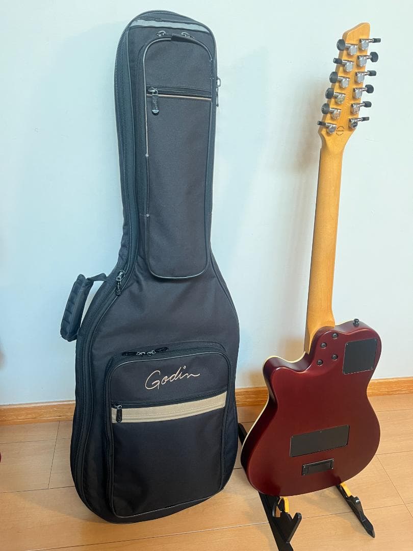 Godin ゴダン アコースティックギター A-12 12弦ギター エレアコ