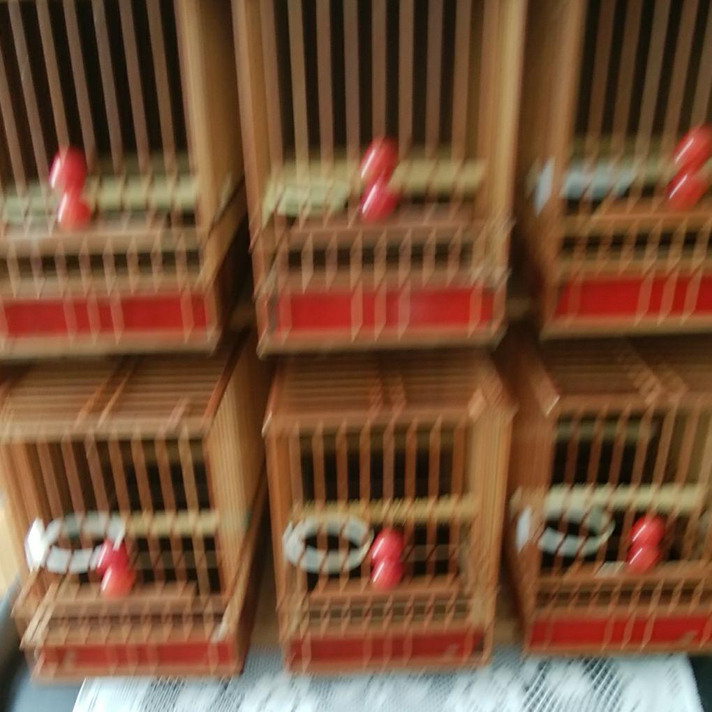 メジロ籠と6羽収納寝箱のセット。