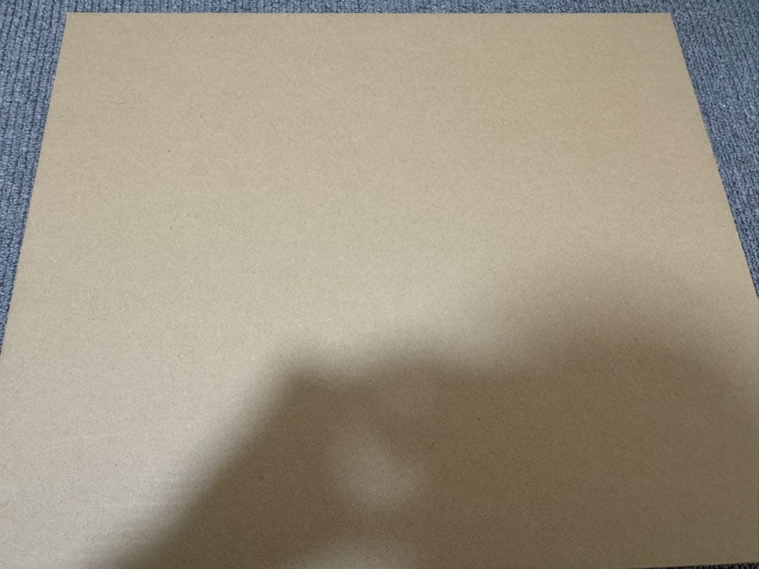 エヴァンゲリオン　複製原画　碇シンジ 渚カヲル