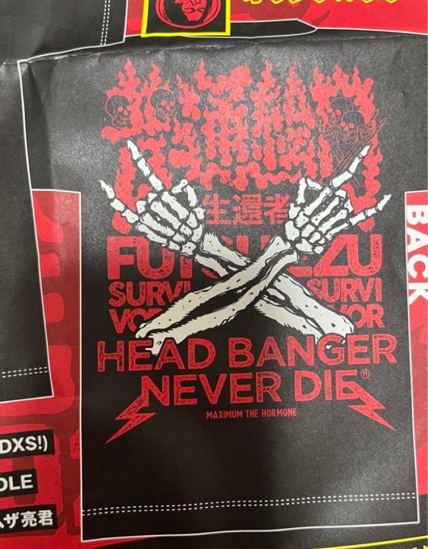 マキシマムザホルモン 普通絵図 Tシャツ Lサイズ - メルカリ