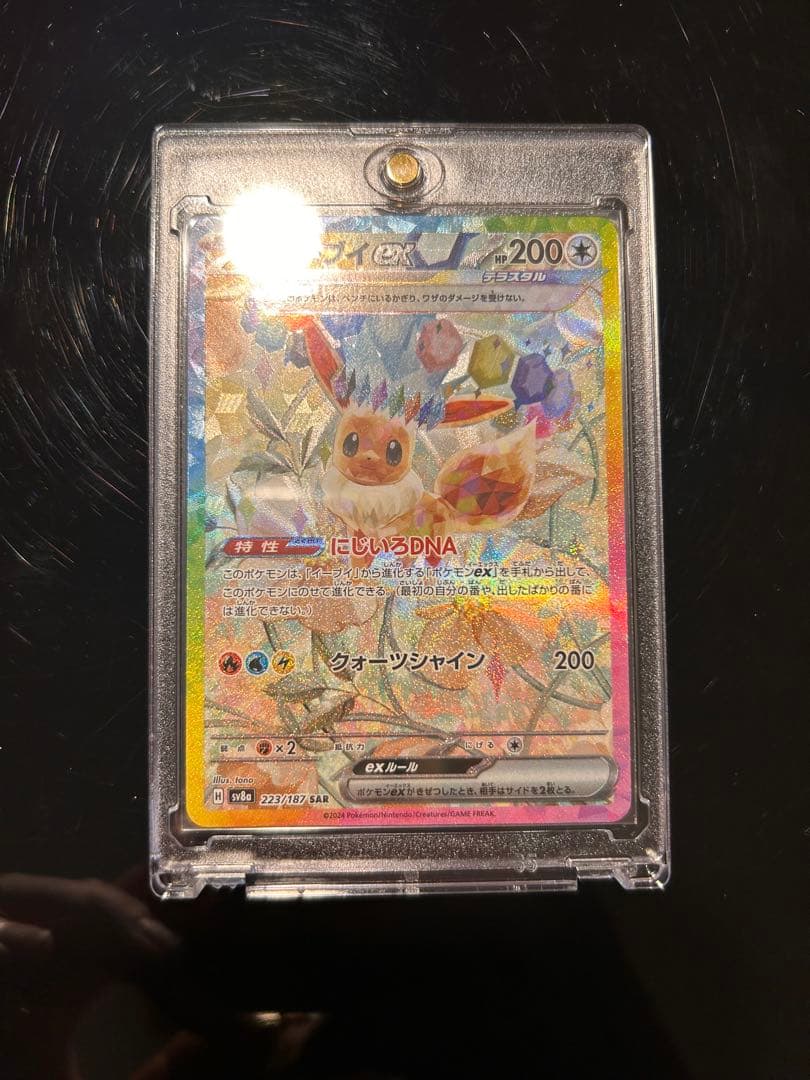 本*す様 美品)テラスタルフェスex ブイズ9種sarまとめ売りUVローダー付