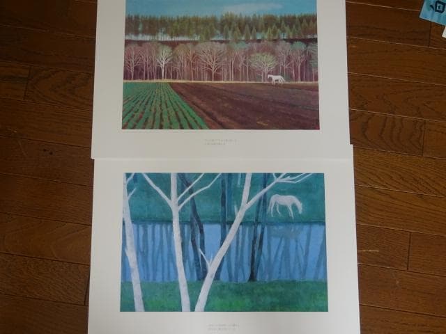 東山魁夷 画集 白馬幻想 日本経済新聞社 - メルカリ