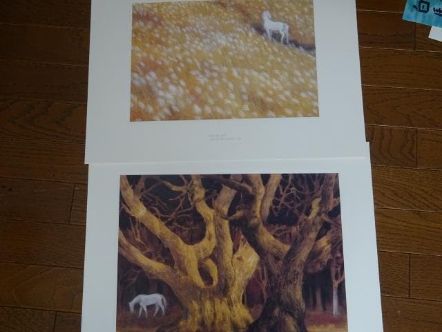 東山魁夷 画集 白馬幻想 日本経済新聞社 - メルカリ