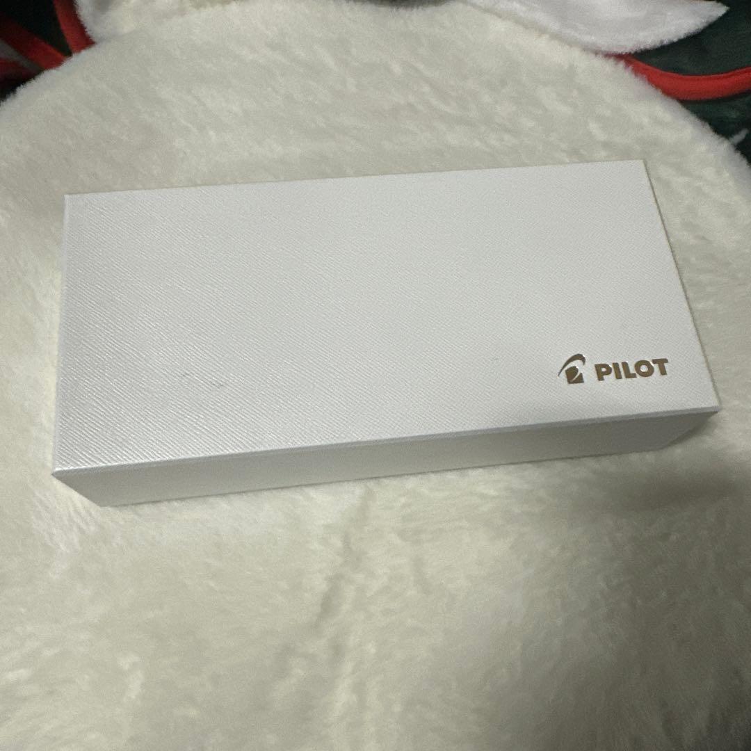 PILOT 万年筆 カスタム 845 シュ B 朱 FKV5MRRB