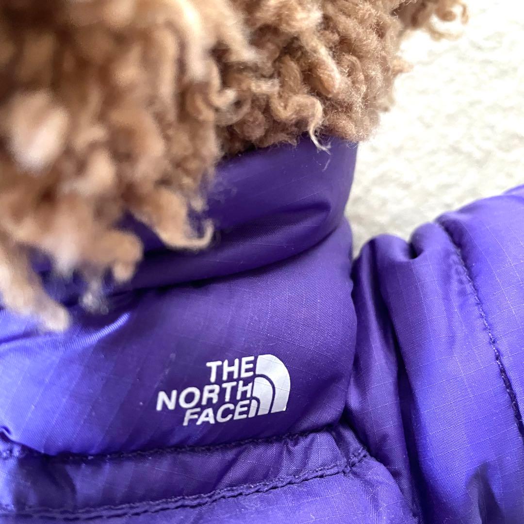 【大人気】Supreme x The North Face Bear Tan