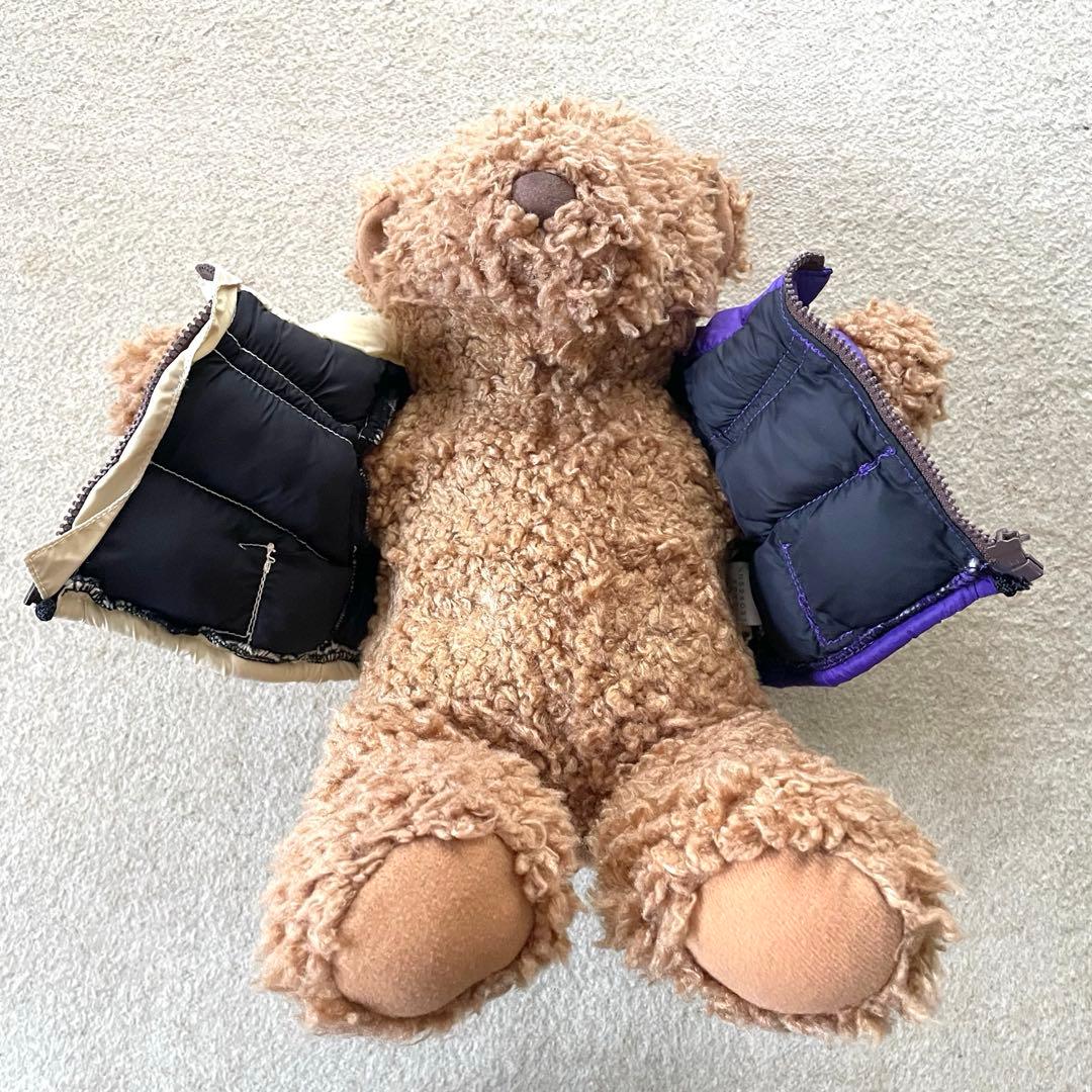 【大人気】Supreme x The North Face Bear Tan