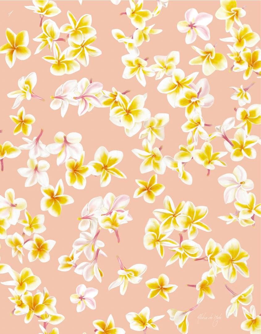 限定1点ハワイの本人から仕入れたレア版/アロハデメレ『Melia F1』額付L