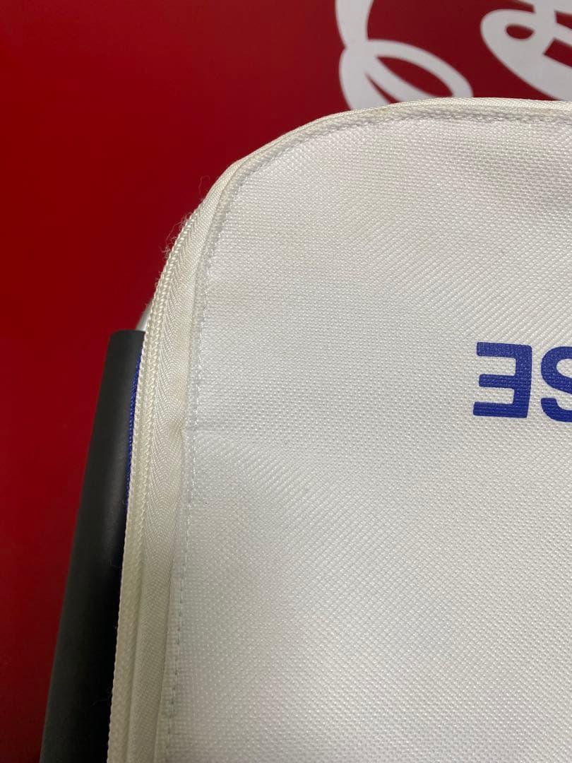 世田谷ベース　ピクニックバック