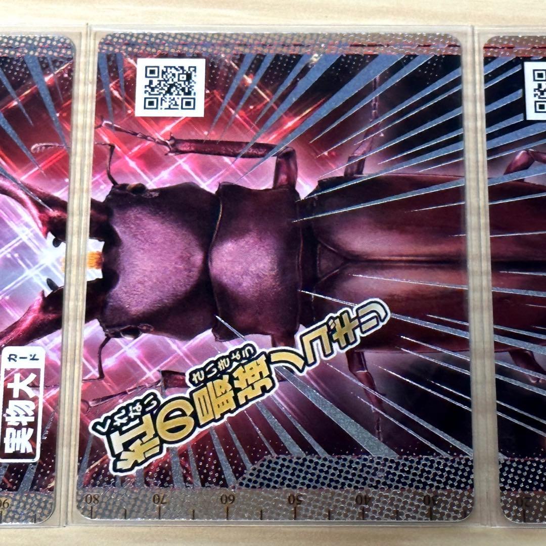 新甲虫王者ムシキング】◇PR-G-30 ギラファケイスケレッド 当選品