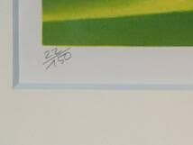 真作 版画 アルフレッド デフォセ リトグラフ ド ビルの競馬場 X11 版