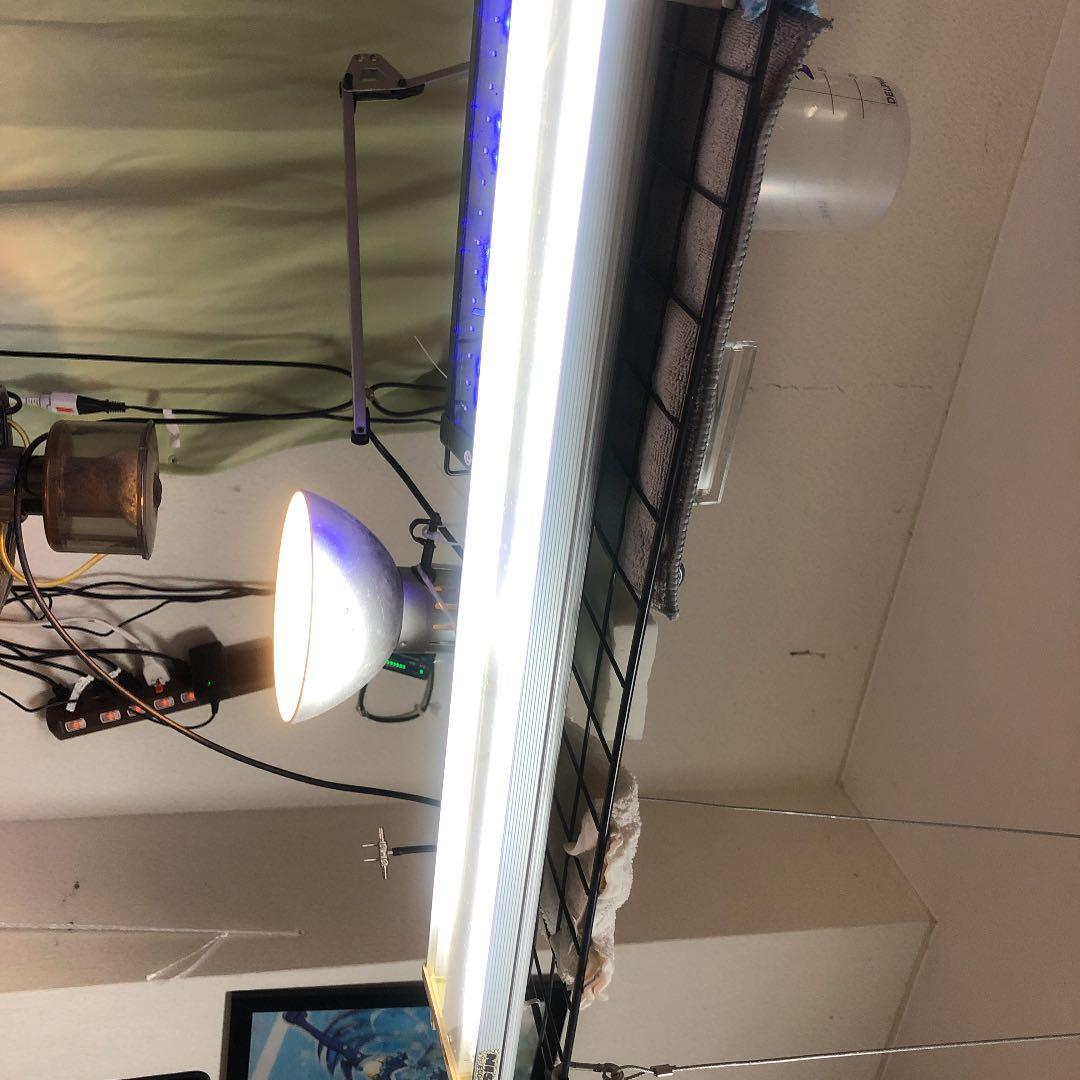 GEX POWER X 600 LEDライト 1400lm 11000K コスパ抜群！GEX Clear LED