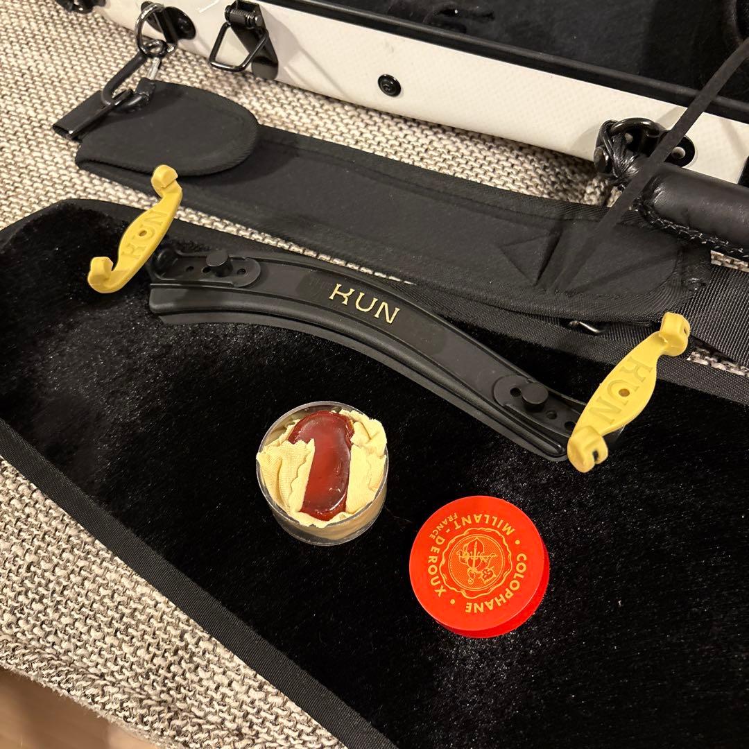 Reghin バイオリン4/4 カーボンマック