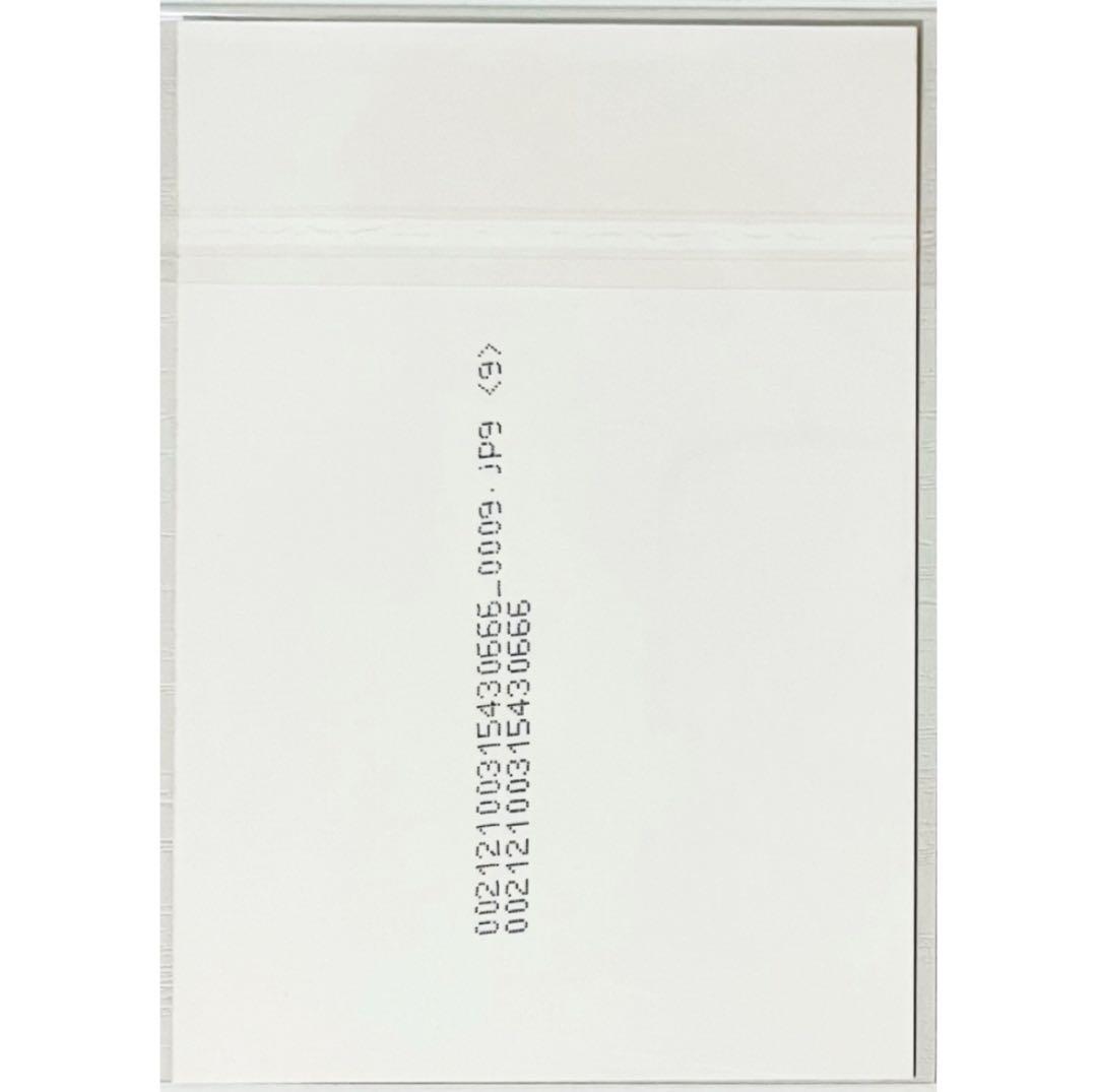 V系☆BAROQUE【晃】FOOL´S MATE☆ブロマイド☆生写真☆アー