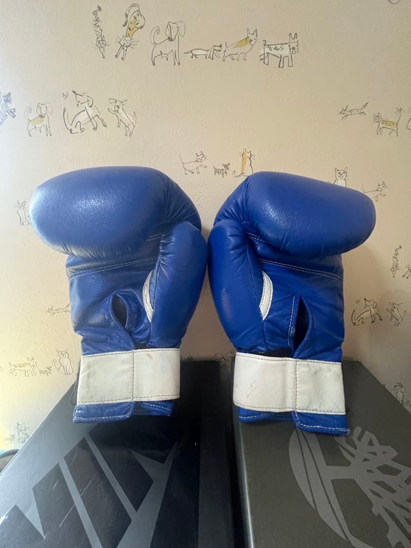 winning ウイニング ボクシンググローブ 14oz Winning ボクシング