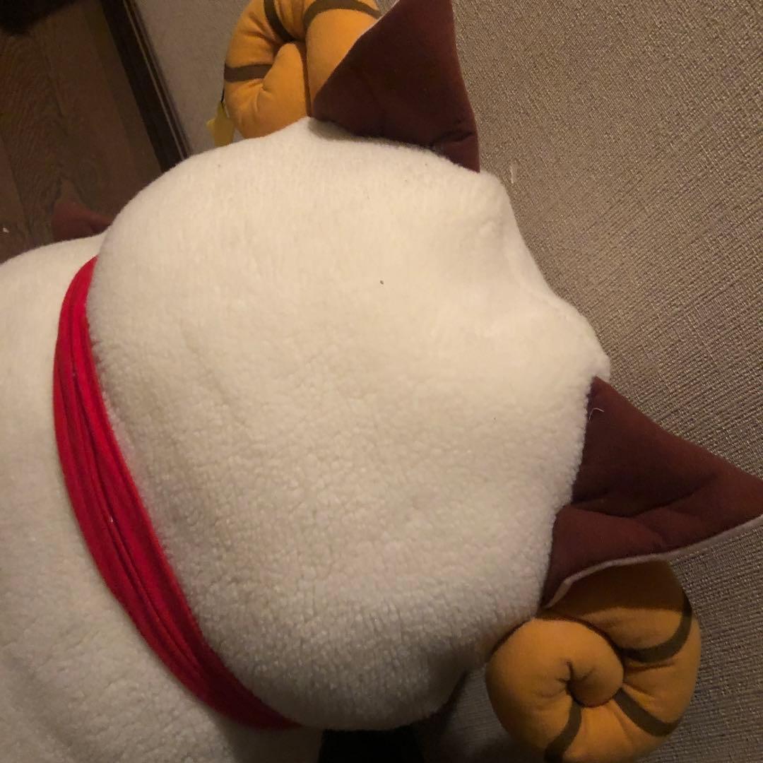 正宗ぬいぐるみ 天月 【断捨離】 天月-あまつき- on X: 