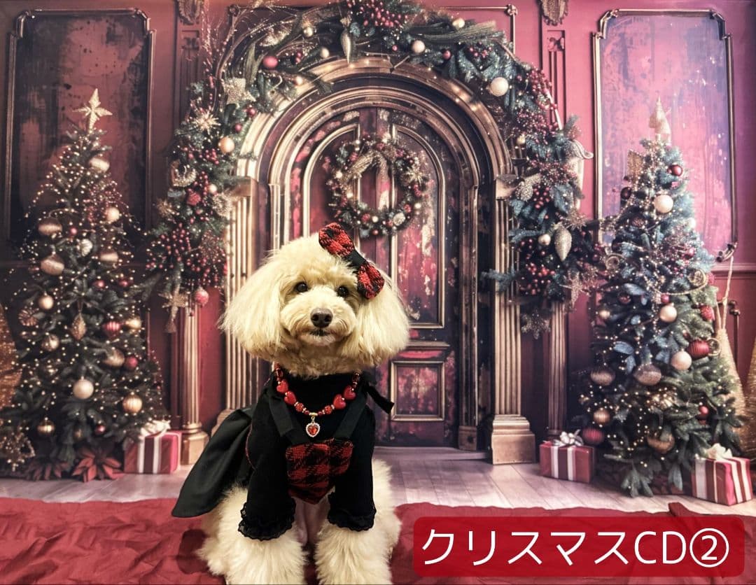 背景布×5枚+1 ペット撮影用フォトブース トリミングチョーカー販売中