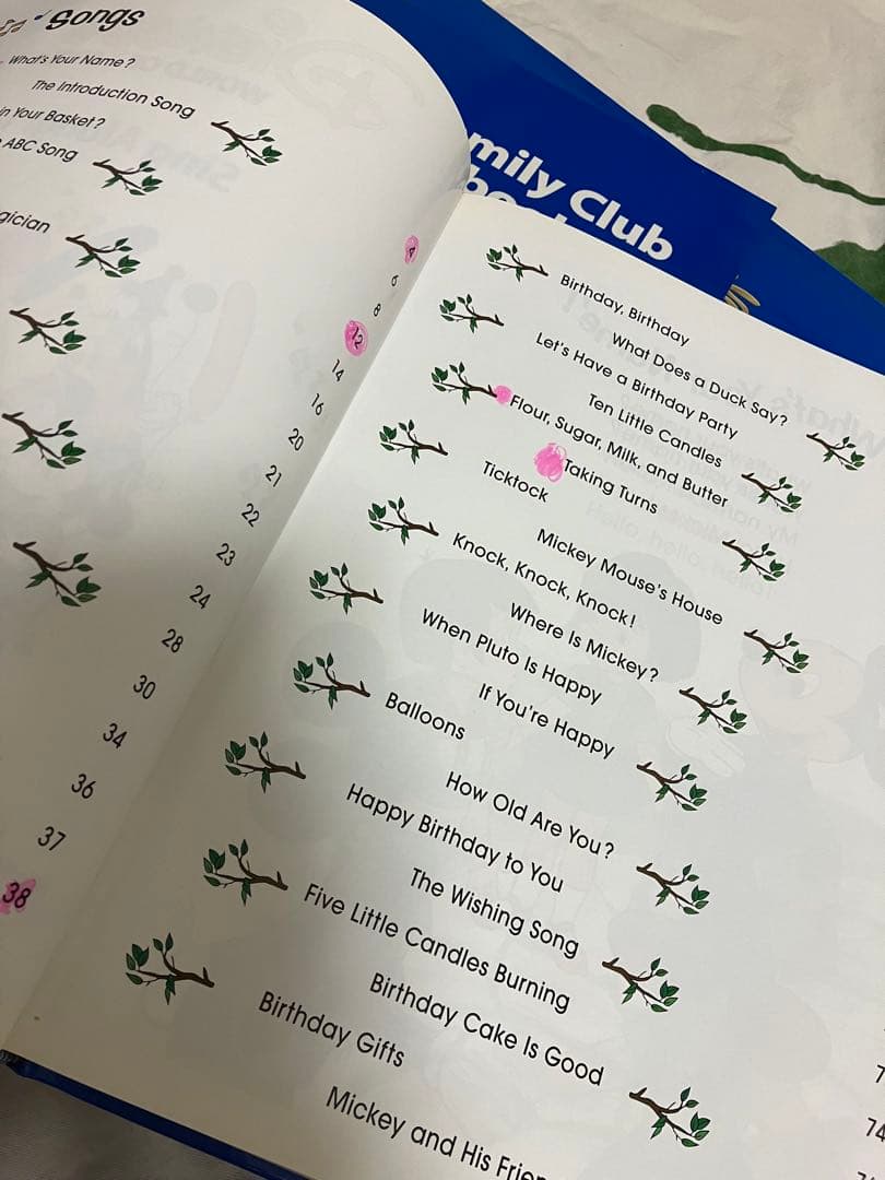 激安送込DWEディズニー英語システムBasic ABCsシングアロング教材セット