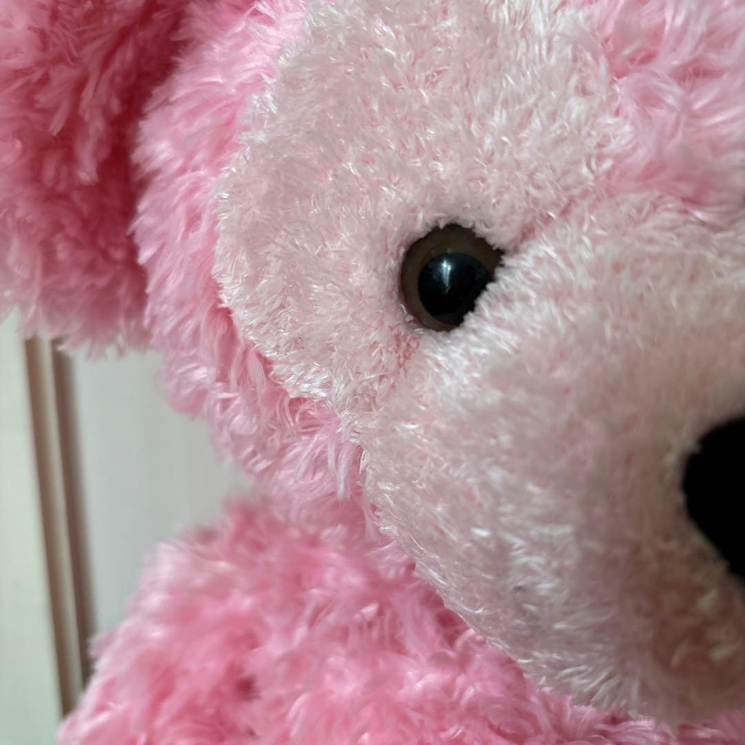 ダッフィー　WDW ぬいぐるみ　ピンク　ぽぽちゃん