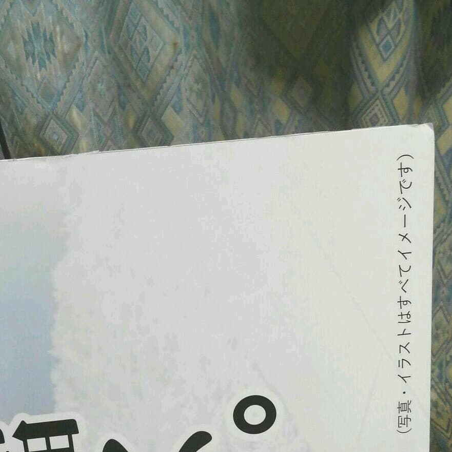 杏　オードリー若林正恭　ボードパネル(発泡スチロール製？)