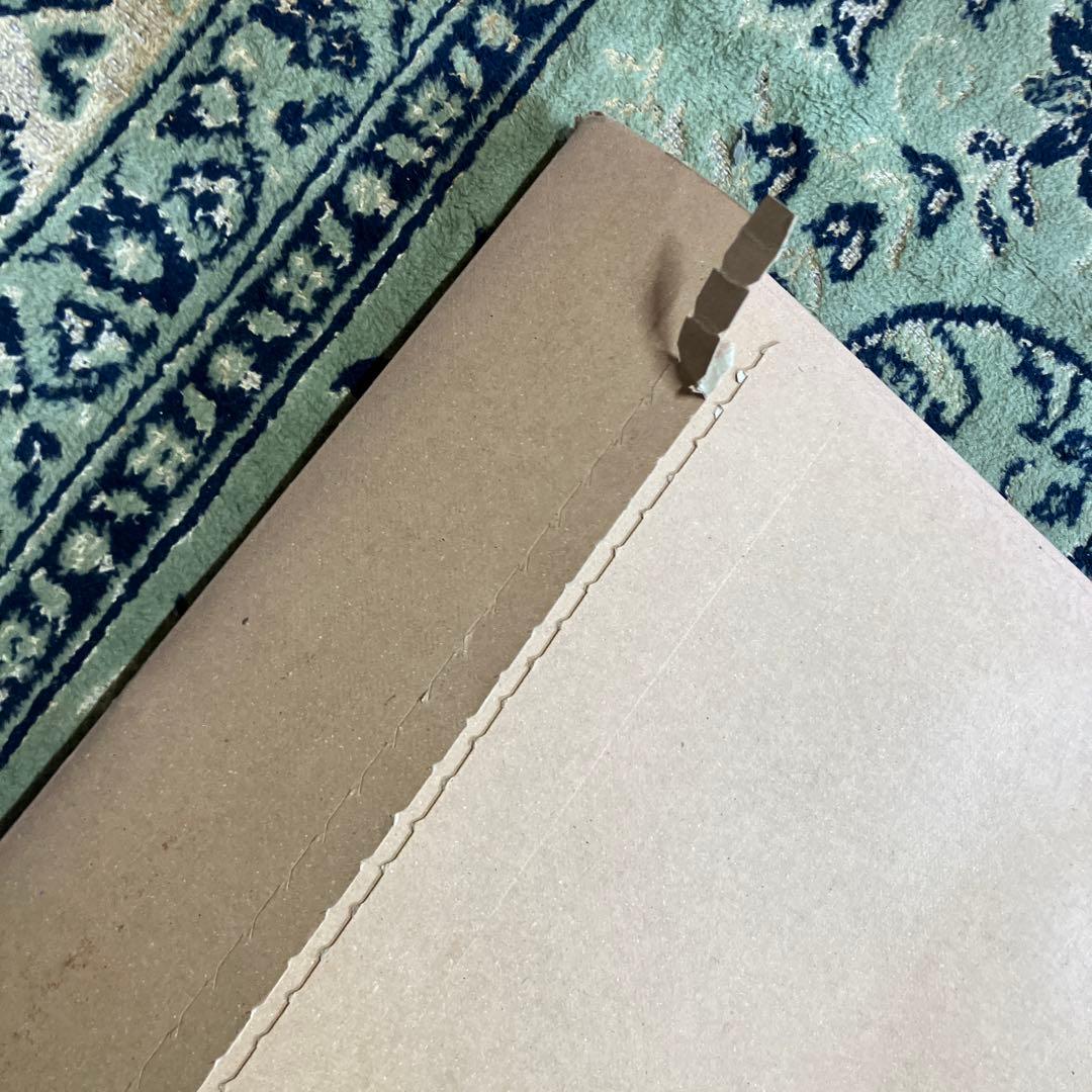 希少 紋黄蝶 ミナペルホネン カタログ 小松菜奈 2011年 入手困難 絶版