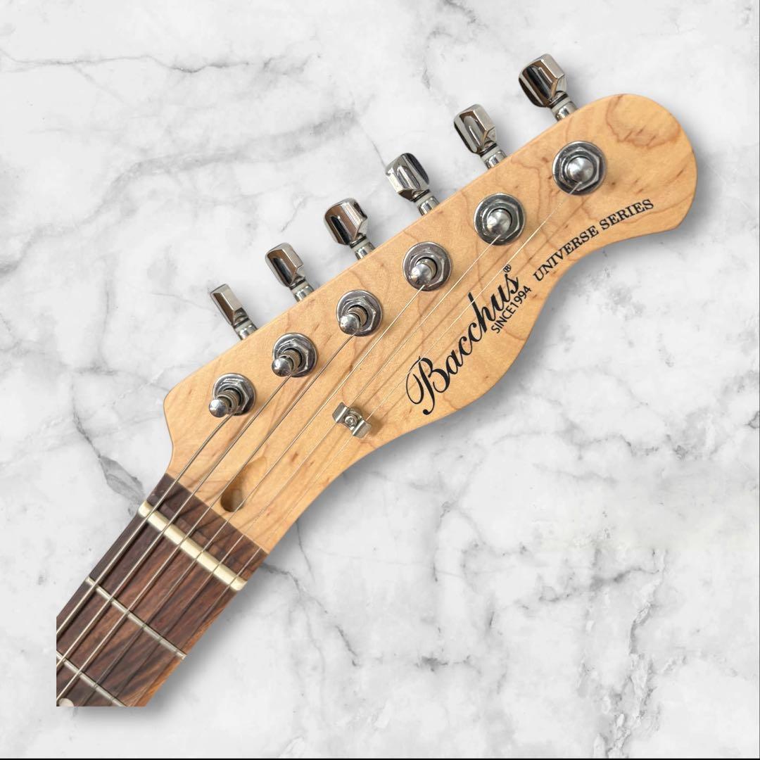 【美品】Bacchus テレキャスター ダブル バインディング　濃紺