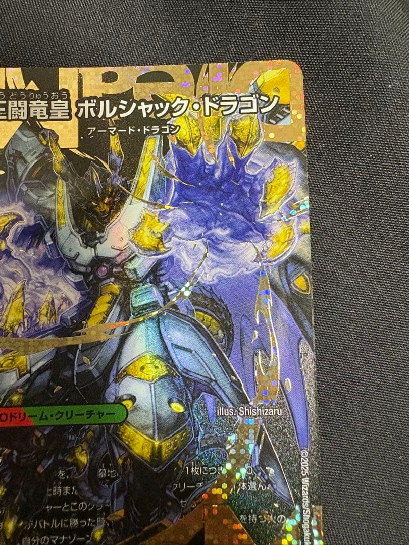 王闘竜皇ボルシャックドラゴン シークレット
